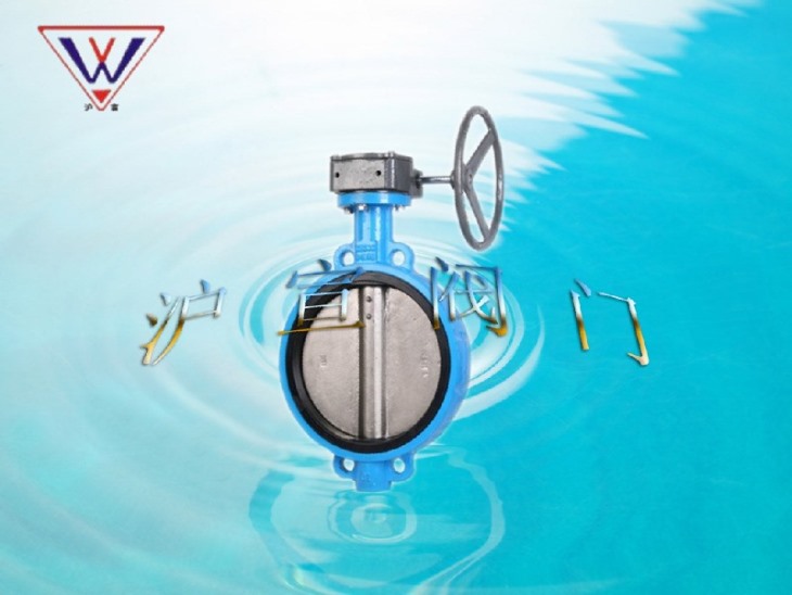 (全襯)蝸輪對(duì)夾襯膠蝶閥 (全襯)蝸輪對(duì)夾襯膠蝶閥