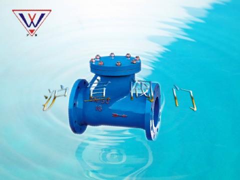 滑道滾球式止回閥 滑道滾球式止回閥