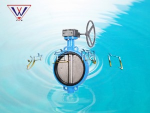 （全襯）蝸輪對(duì)夾襯膠蝶閥