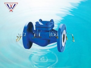 德標(biāo)升降式波紋管止回閥